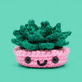 Jade the Succulent Crochet Kit