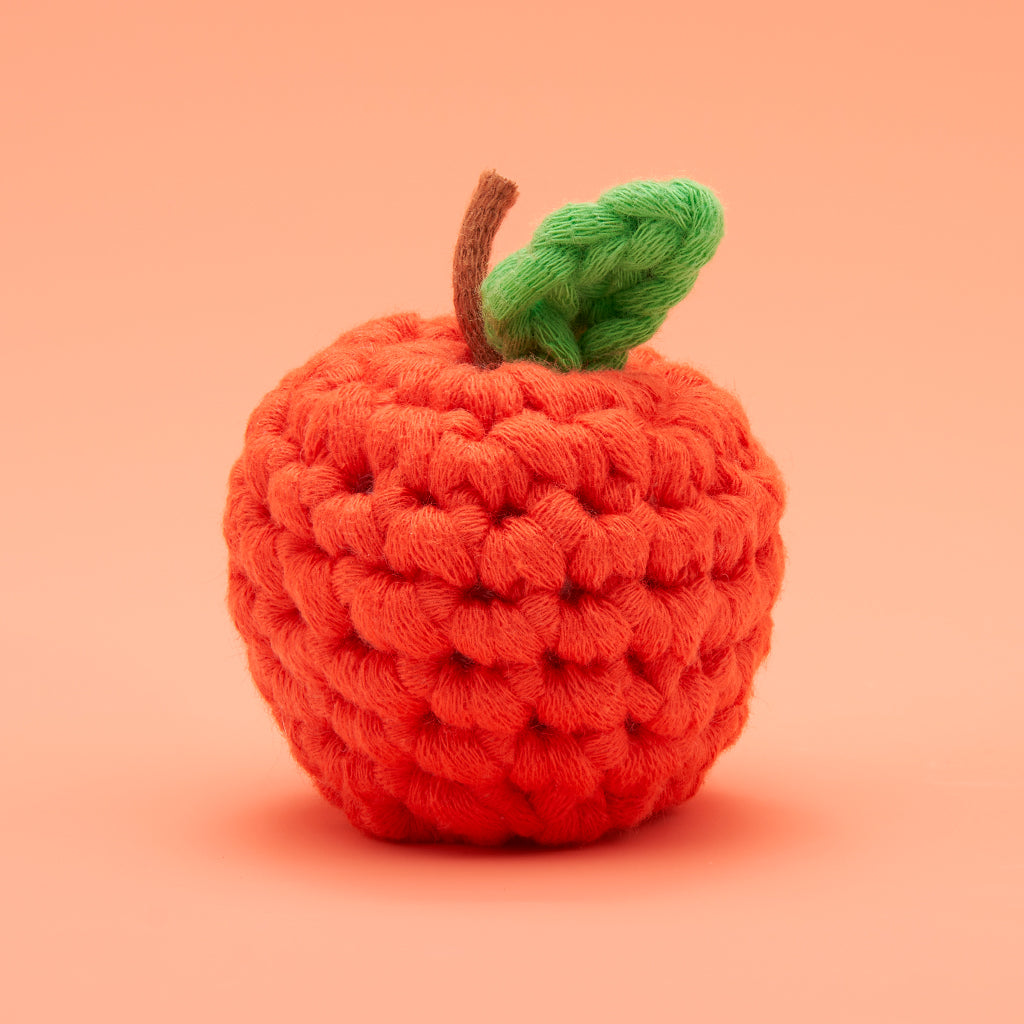 Tiny Apple Accessory Kit