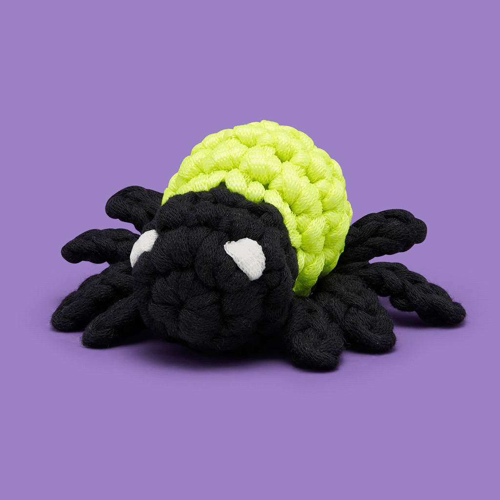 Eerie-sistibly Woobly Haunted House Box