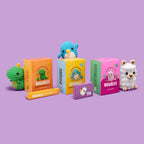 Zero to Hero Beginner Gift Box