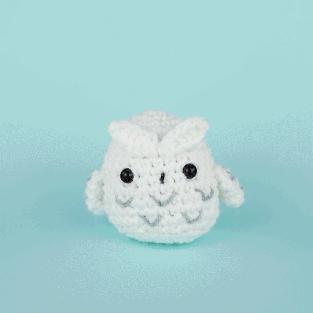 Andy the Owl Crochet Kit